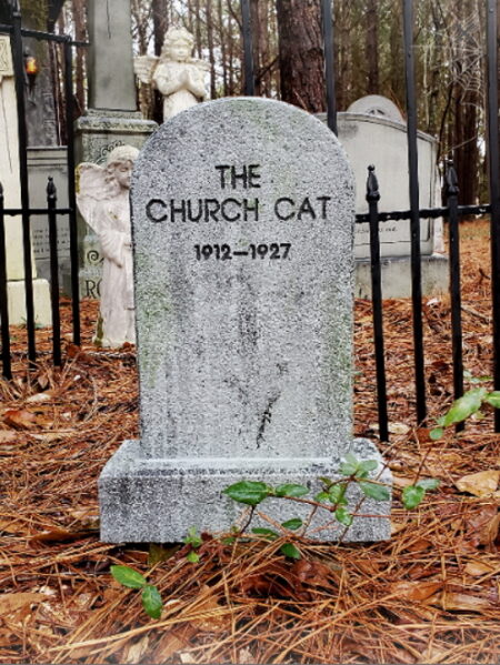 Gravestone of The Church Cat, 1913-1917, in a wooded cemetery.