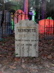 Berkowitz1web