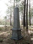 A weathered gravestone stands among tall pine trees in a quiet forest.
