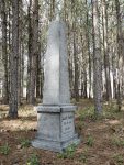 A weathered gravestone stands among tall pine trees in a quiet forest.