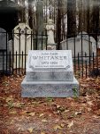 A gravestone for William in a fenced area covered with autumn leaves.