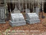 A gravestone for William in a fenced area covered with autumn leaves.