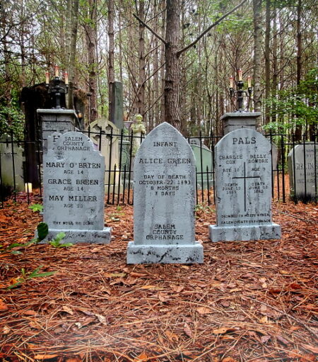 Three old tombstones in a forest with fallen leaves around.