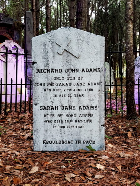 Old gravestone in a forest cemetery with iron fence.