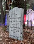 Old gravestone in a forest cemetery with iron fence.
