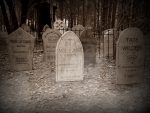 Five humorous tombstones with funny epitaphs in a wooded area.