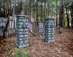 draculaecolumns1web