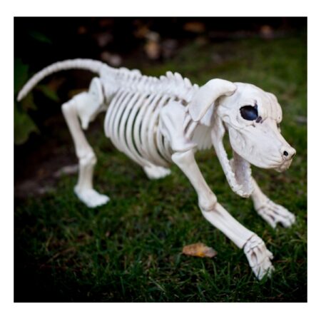 A dog skeleton model with a bone on grass.