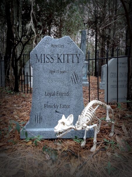 A white cat lying peacefully in front of a gravestone labeled 'Miss Kitty' in a spooky wooded graveyard.