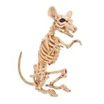 A detailed skeleton model of a rat standing upright.