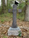 Old wooden grave marker with a black crow statue on top in a forest.
