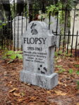 LHFlopsy1web
