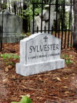 LHSylvester1web