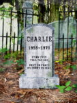 L.H.Charlie11web