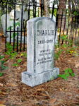 L.H.Charlie11web