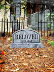 L.H.Beloved1web