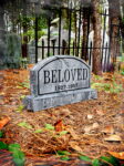L.H.Beloved1web