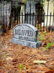L.H.Beloved1web