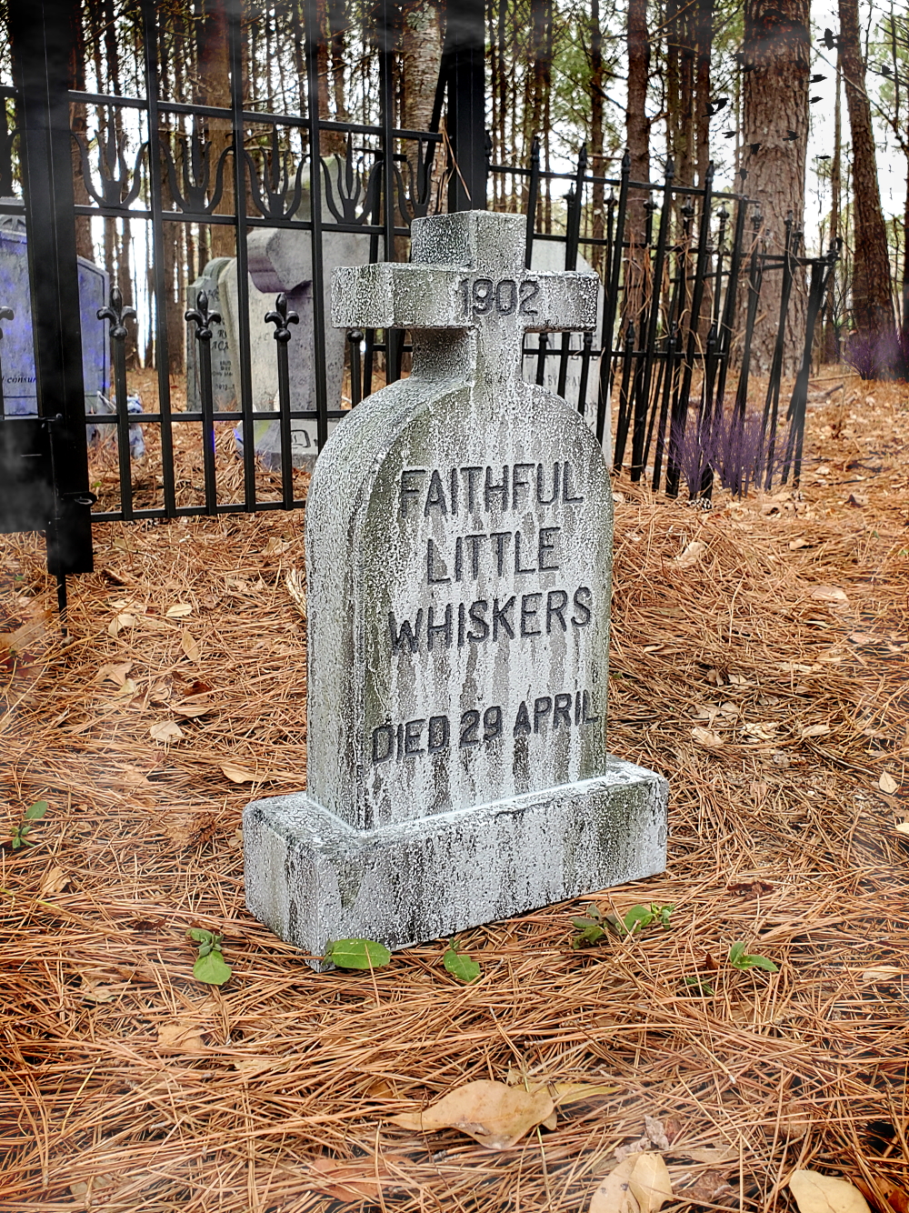 LHFaithfulWhiskers2web