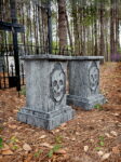 SkullPedestalsSmall1web