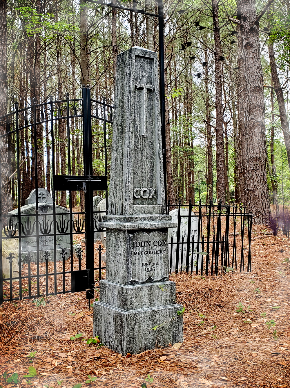 CoxObelisk2web