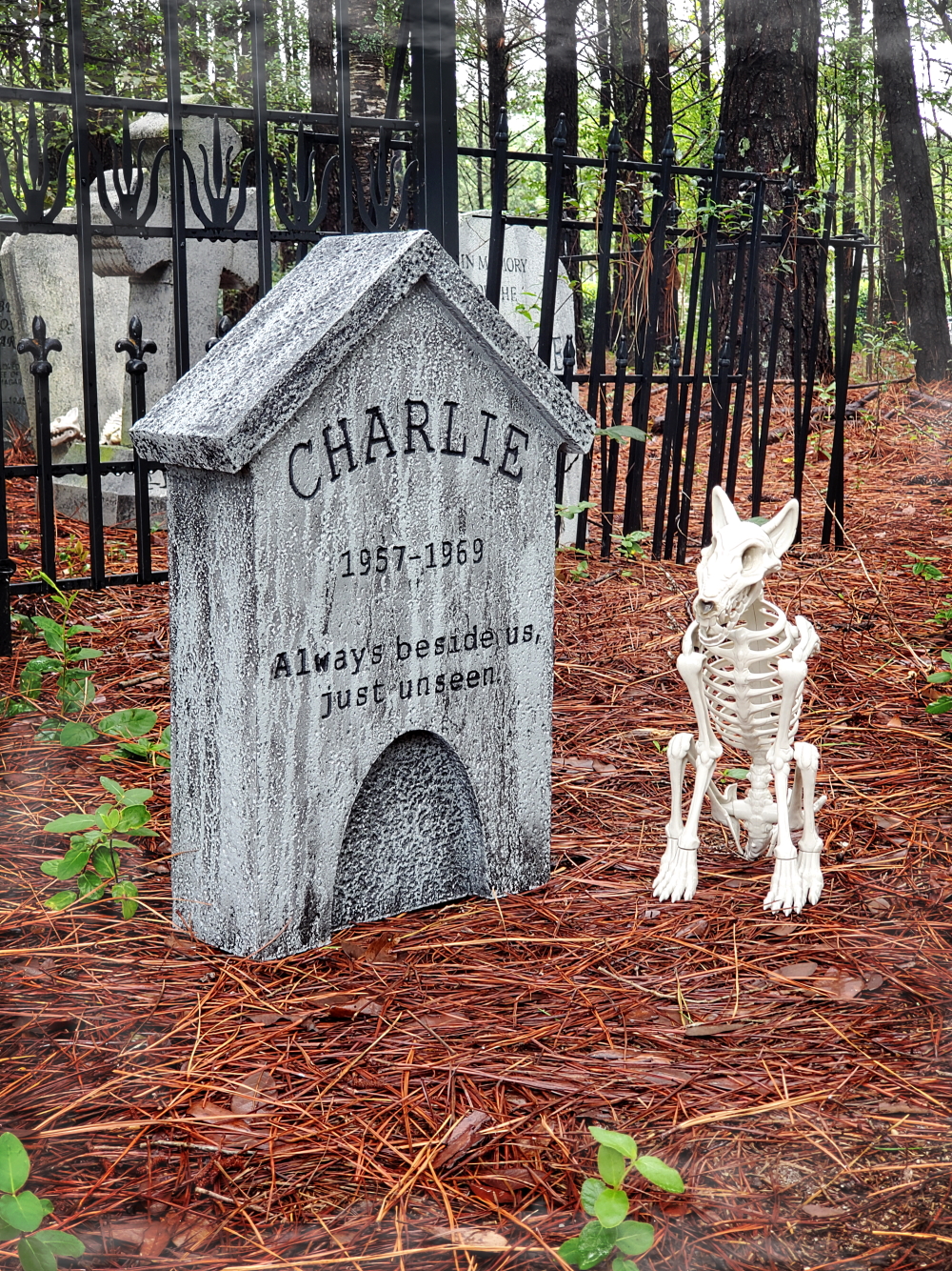 Charlie2web