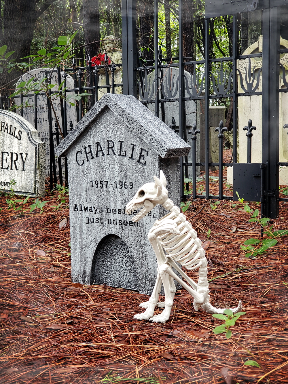 Charlie3web